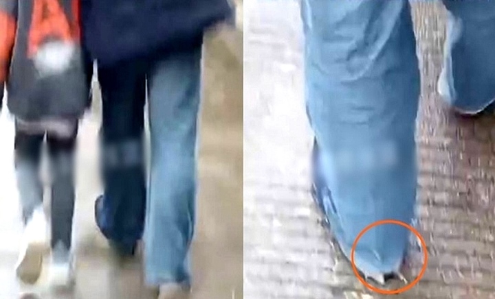 cau chuyen ve doi giay cua bo cau chuyen ve doi giay cua bo