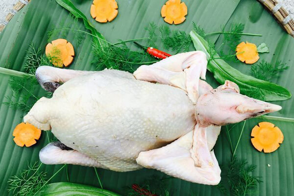 ga luoc 1 ga luoc 1
