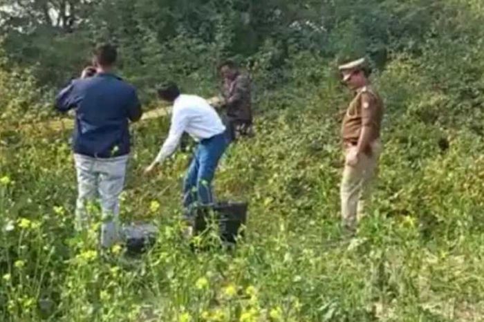 cuong buc giet hai cuong buc giet hai