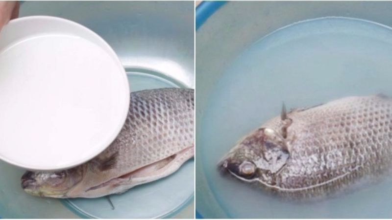 bi quyet khu mui tanh cua ca 3 bi quyet khu mui tanh cua ca 3
