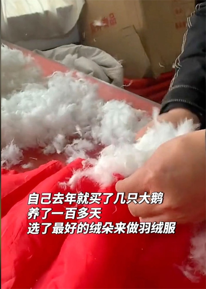 nuoi ngong lam ao cho vo 1 nuoi ngong lam ao cho vo 1