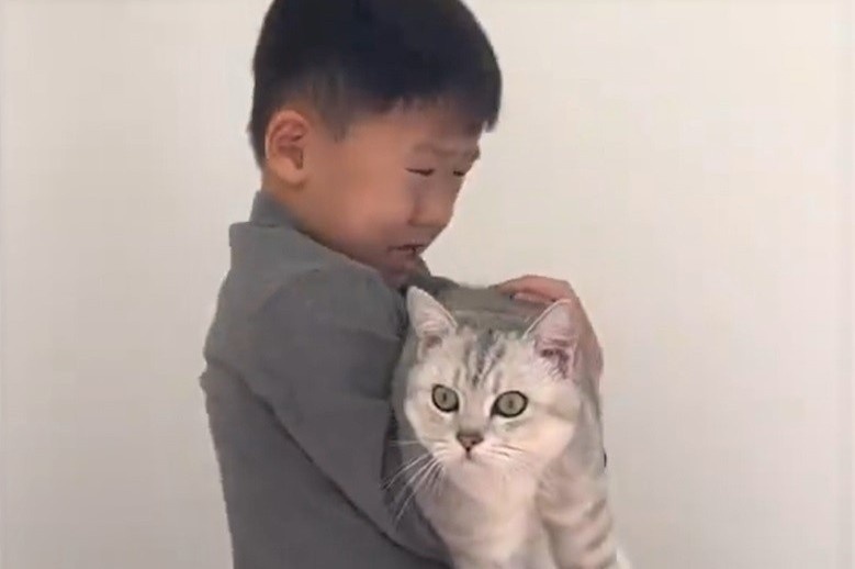 cau be khoc vi meo rung long 1 cau be khoc vi meo rung long 1