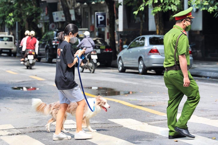 ha noi dat cho di dao co gai bi phat 2 trieu dong ha noi dat cho di dao co gai bi phat 2 trieu dong