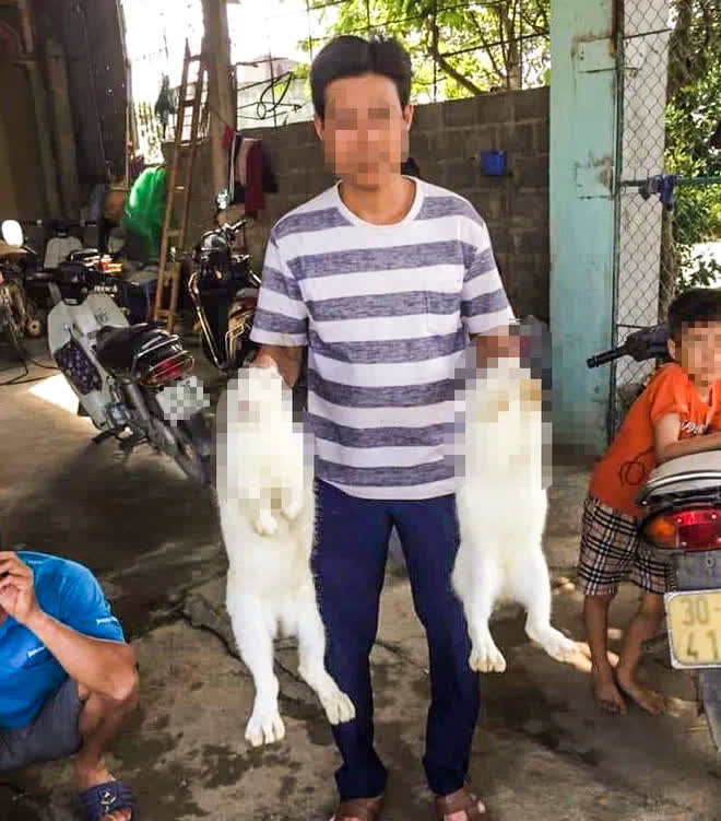 ha noi phat hien thi the nguoi dan ong duoi ao sau 4 ngay mat tich bi an ha noi phat hien thi the nguoi dan ong duoi ao sau 4 ngay mat tich bi an