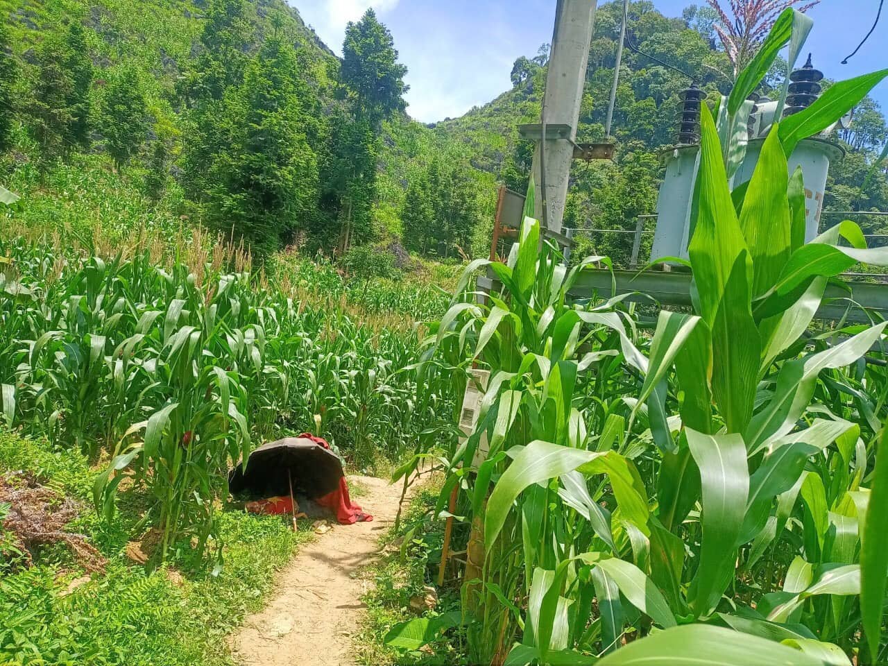 ha giang mot chau be tu vong thuong tam vi treo len cot dien