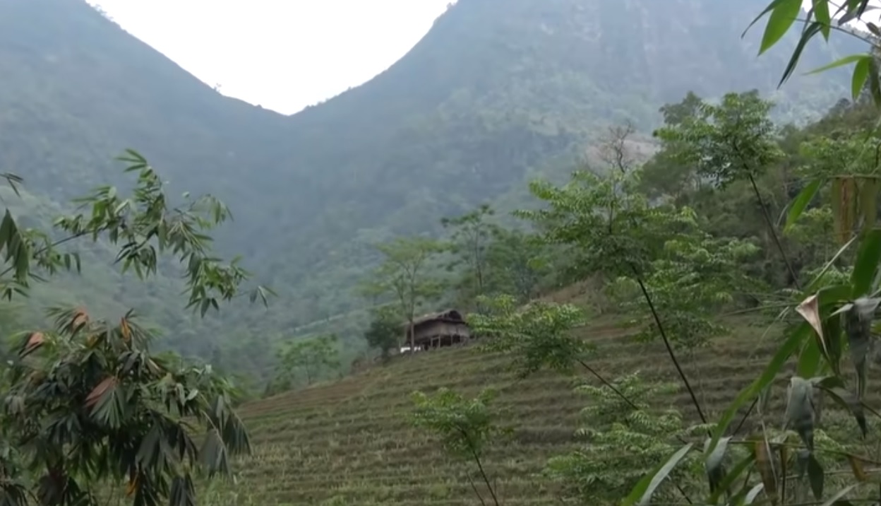 bai cai bat canh cai vi la he lo toi ac kinh hoang cua ten sat nhan vu an ly ky giua ban na luong ky 1 bai cai bat canh cai vi la he lo toi ac kinh hoang cua ten sat nhan vu an ly ky giua ban na luong ky 1