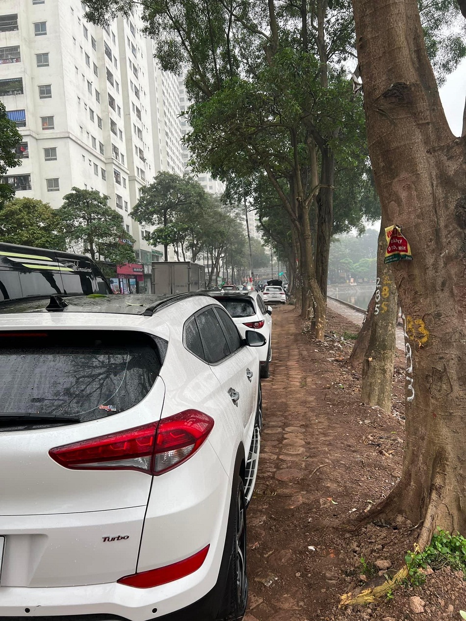cong an dieu tra vu hang chuc o to do tren via he o ha noi bi rach lop trong dem cong an dieu tra vu hang chuc o to do tren via he o ha noi bi rach lop trong dem