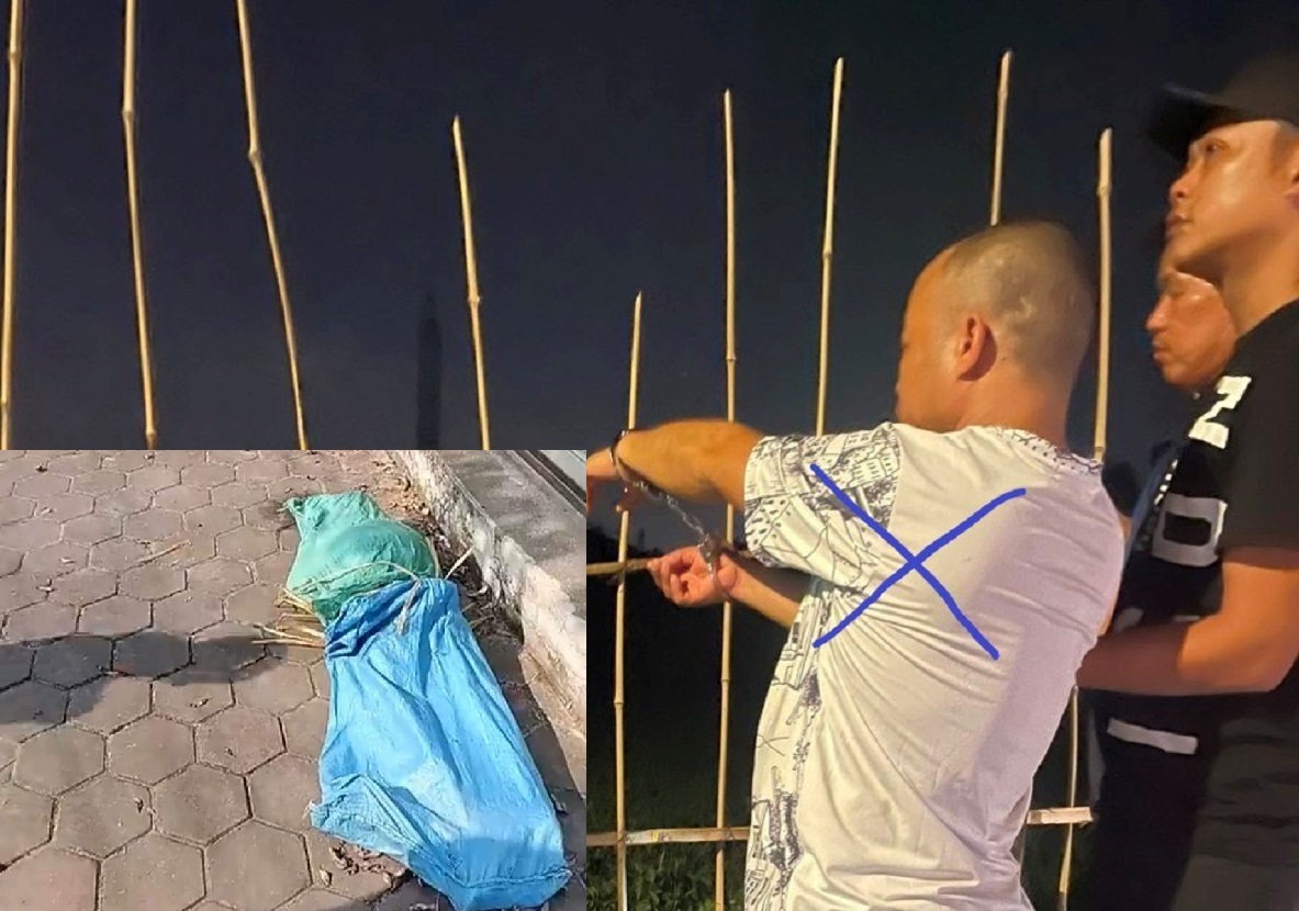 bai cai thi the co gai tre loa the va toi ac kinh hoang cua ten sat nhan bao tai mau xanh bi an ky 1 2 bai cai thi the co gai tre loa the va toi ac kinh hoang cua ten sat nhan bao tai mau xanh bi an ky 1 2