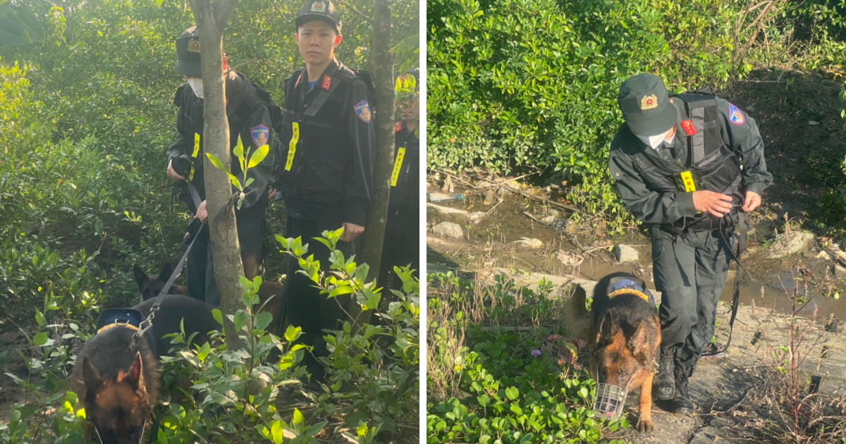 huy dong tong luc khoanh vung truy bat 2 doi tuong tron trai giam o ha tinh huy dong tong luc khoanh vung truy bat 2 doi tuong tron trai giam o ha tinh