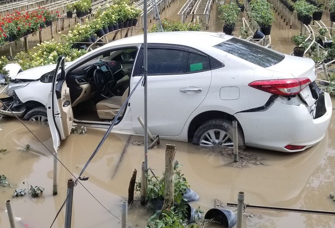 vu xe hop lao xuong ruong hoa tai xe dap cua dua vo con roi di nhan chung noi gi 1