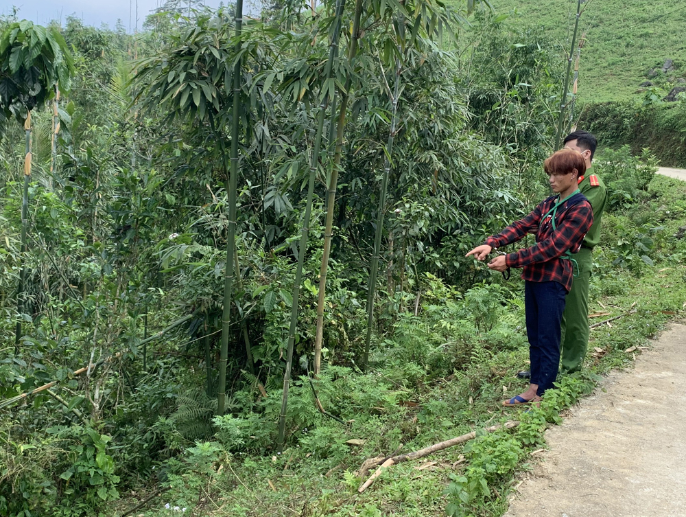 vu be trai 3 tuoi bi sat hai o lao cai gia dinh ta hoa khi nghi pham be xac em trai ve 3