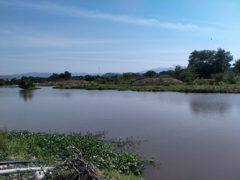 vu ru nhau tam song 2 em nho chet duoi nghe tieng keu cuu nhung khong kip vu ru nhau tam song 2 em nho chet duoi nghe tieng keu cuu nhung khong kip