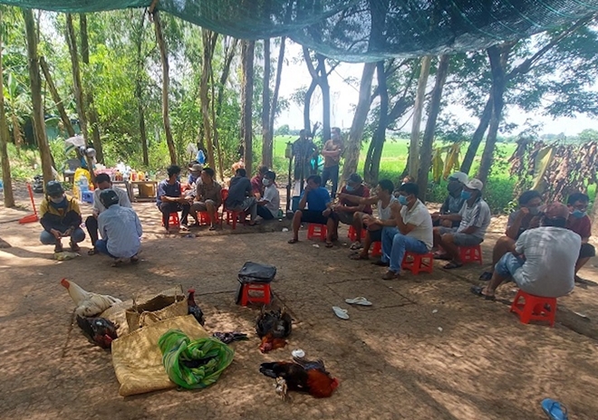 triet pha soi bac khung giua bai dat trong o dong thap canh sat thu gi tai hien truong triet pha soi bac khung giua bai dat trong o dong thap canh sat thu gi tai hien truong
