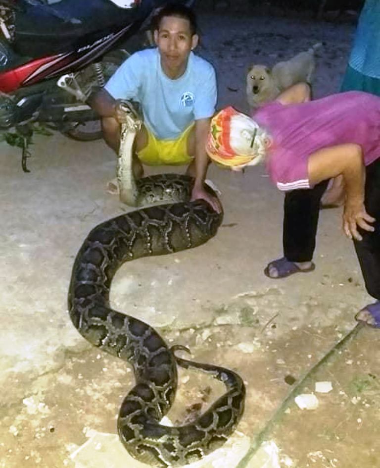 bat duoc tran khung o nghe an nguoi dan lam thit va kinh hai khi thay thu trong bung 1 bat duoc tran khung o nghe an nguoi dan lam thit va kinh hai khi thay thu trong bung 1