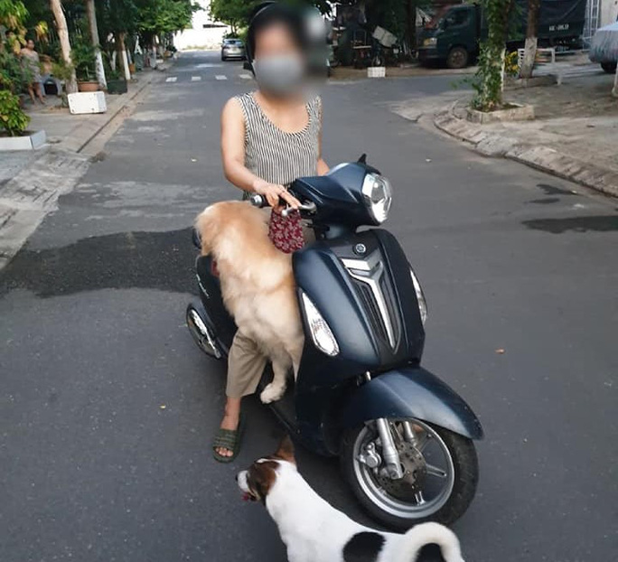lai xe may cho thu cung di dao nguoi phu nu bi de nghi phat 7 5 trieu dong 2 lai xe may cho thu cung di dao nguoi phu nu bi de nghi phat 7 5 trieu dong 2