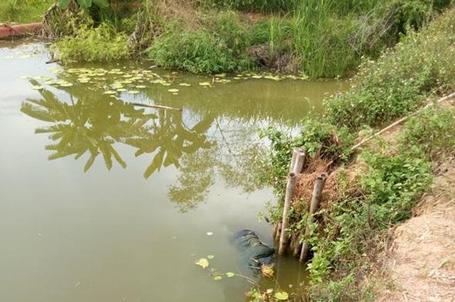 vu nguoi phu nu chet bi an duoi dap nuoc sau 2 tieng roi khoi nha dien thoai do chuong nhung khong ai nghe may vu nguoi phu nu chet bi an duoi dap nuoc sau 2 tieng roi khoi nha dien thoai do chuong nhung khong ai nghe may