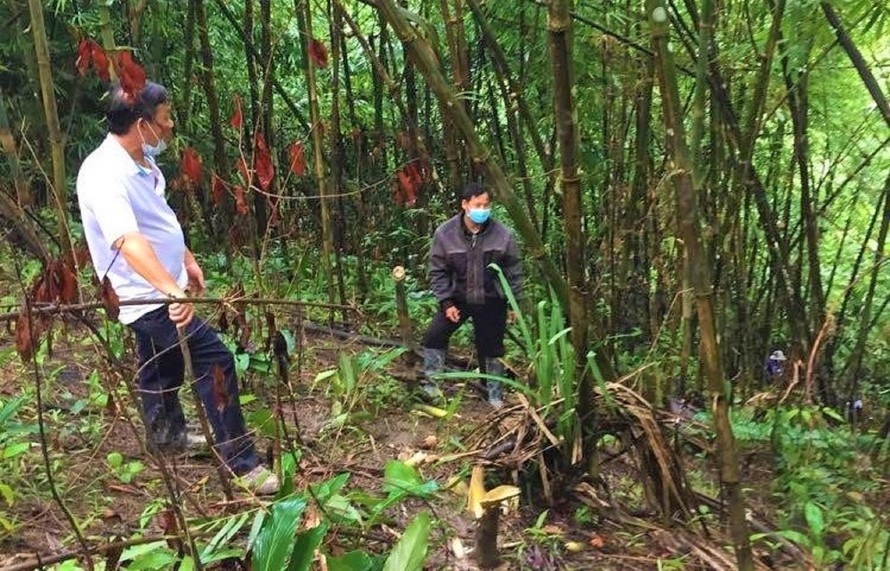 di hai mang rung bang hoang phat hien thi the tro xuong