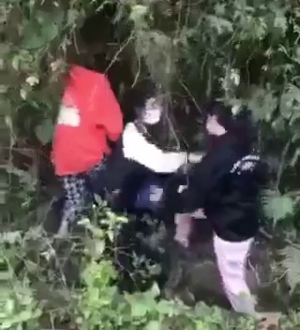 vu clip nu sinh lop 7 bi danh hoi dong doa lot do giua duong chu tich xa tiet lo nguyen nhan 2 vu clip nu sinh lop 7 bi danh hoi dong doa lot do giua duong chu tich xa tiet lo nguyen nhan 2