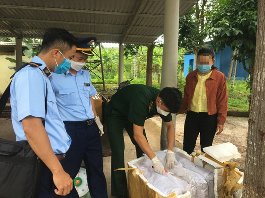 co gai 22 tuoi dung xe keo cho hon 400kg thuc pham hoi thoi khai gi co gai 22 tuoi dung xe keo cho hon 400kg thuc pham hoi thoi khai gi