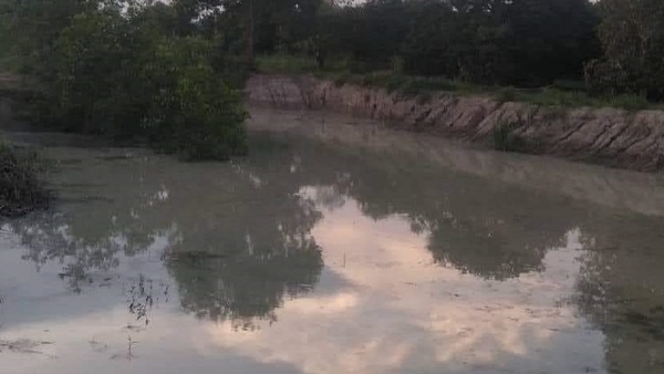 di tam ho sau buoi tong ket nam hoc 2 hoc sinh tu vong