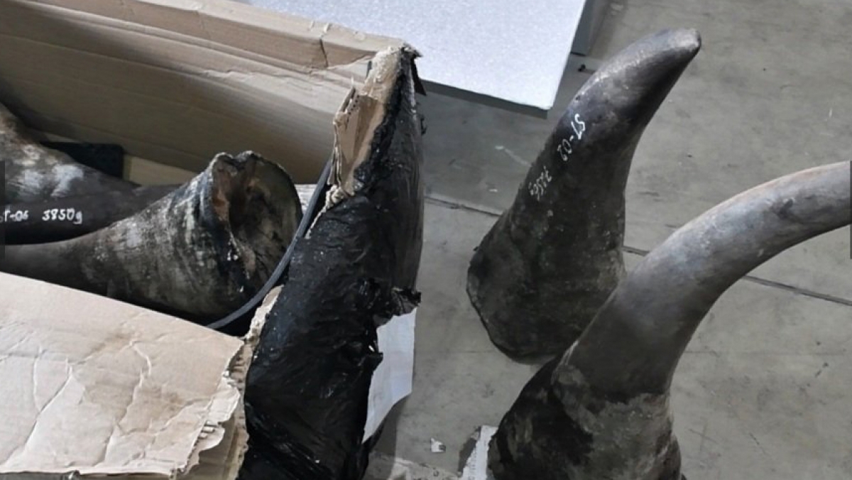 vu buon sung te giac nga voi vay te te tri gia 300 ty dong lo dien ong trum 2 vu buon sung te giac nga voi vay te te tri gia 300 ty dong lo dien ong trum 2