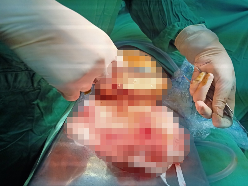 vu pham nhan tu cat cua quy cua minh o dak lak he lo nguyen nhan vu pham nhan tu cat cua quy cua minh o dak lak he lo nguyen nhan