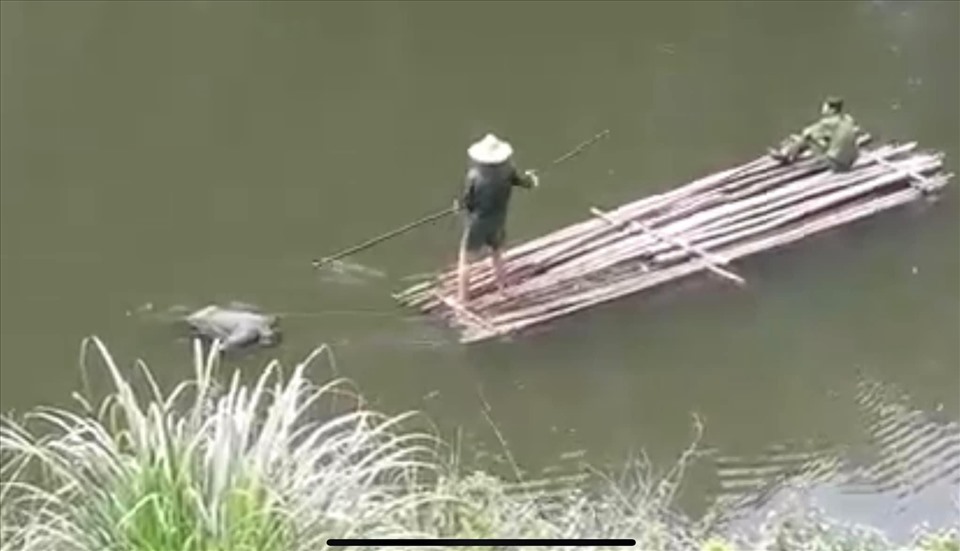 vu nguoi dan ong chet duoi ho lang le chua xac dinh duoc danh tinh vu nguoi dan ong chet duoi ho lang le chua xac dinh duoc danh tinh