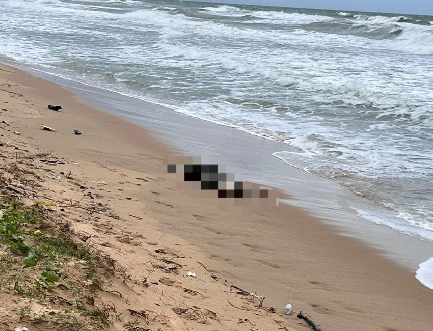 vu 7 thi the nam nu troi dat vao bo bien phu quoc tim thay 2 cccd trung quoc 2 vu 7 thi the nam nu troi dat vao bo bien phu quoc tim thay 2 cccd trung quoc 2