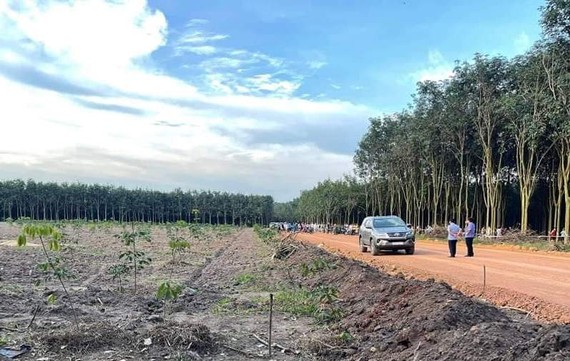 vu nguoi dan ong bat ngo bi danh chet giua ray cao su truy tim hung thu bi an 3 vu nguoi dan ong bat ngo bi danh chet giua ray cao su truy tim hung thu bi an 3