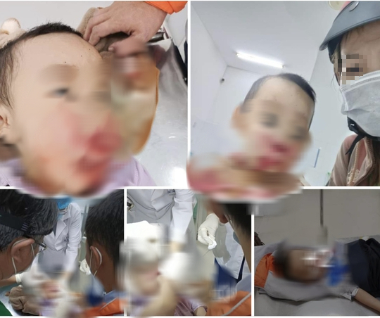 cong an tien giang xac minh vu nguoi me to csgt danh trung mat con trai cong an tien giang xac minh vu nguoi me to csgt danh trung mat con trai