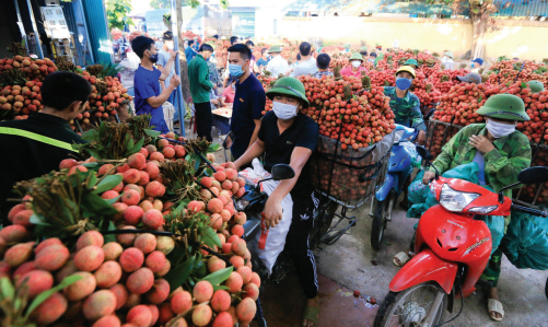 bo truong bo nong nghiep phat trien nong thon le minh hoan doanh nghiep dan than nong dan thay doi 4 bo truong bo nong nghiep phat trien nong thon le minh hoan doanh nghiep dan than nong dan thay doi 4