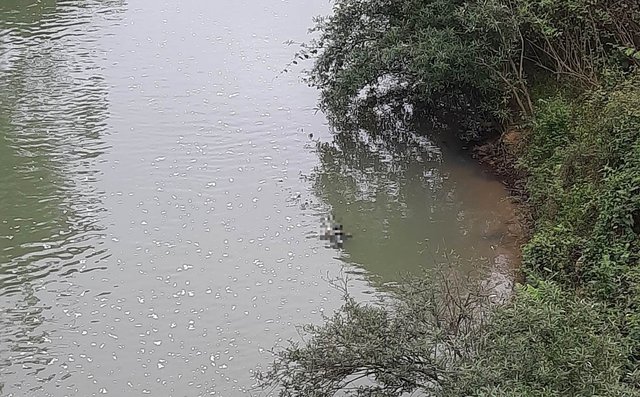 vu thi the nam thanh nien duoi chan cau lac thien nguoi nha noi gi vu thi the nam thanh nien duoi chan cau lac thien nguoi nha noi gi
