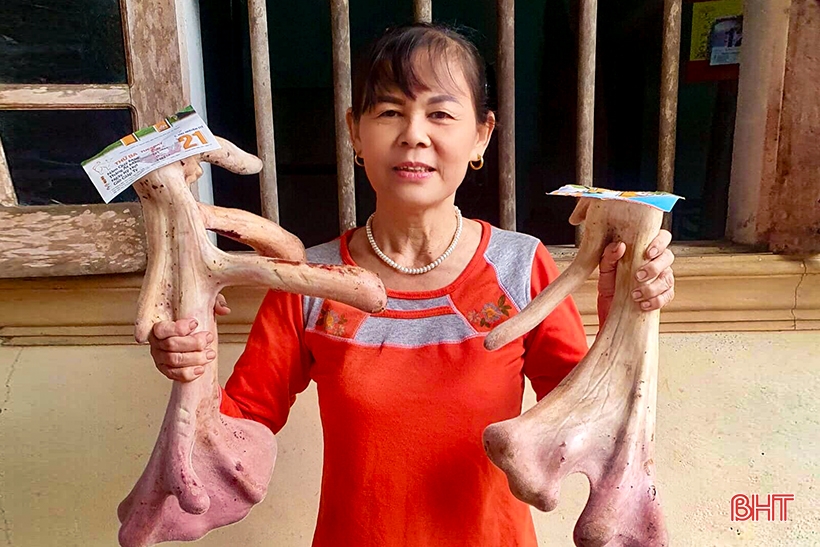 chiem nguong cap nhung huou xua nay hiem khach tra 400 trieu dong chua ban o ha tinh 3