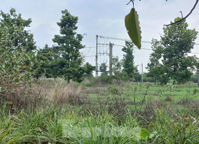 hien truong noi phat hien 2 chan nguoi bi chay sem o binh duong 4