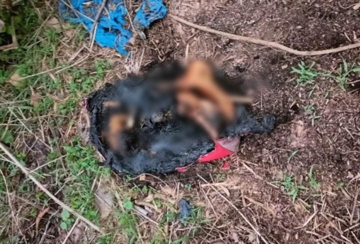 hien truong noi phat hien 2 chan nguoi bi chay sem o binh duong 7