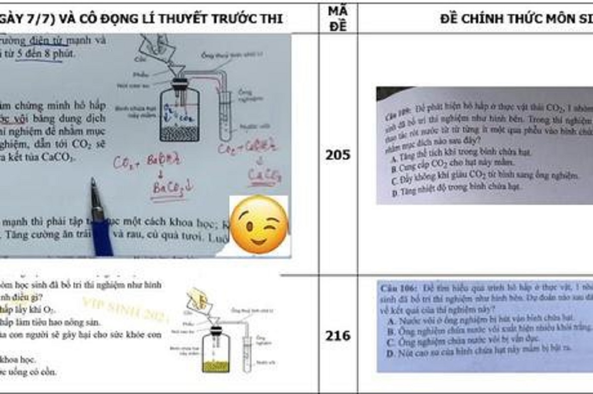 chot ngay xet xu vu lo de sinh hoc ky thi tot nghiep thpt 2021 chot ngay xet xu vu lo de sinh hoc ky thi tot nghiep thpt 2021