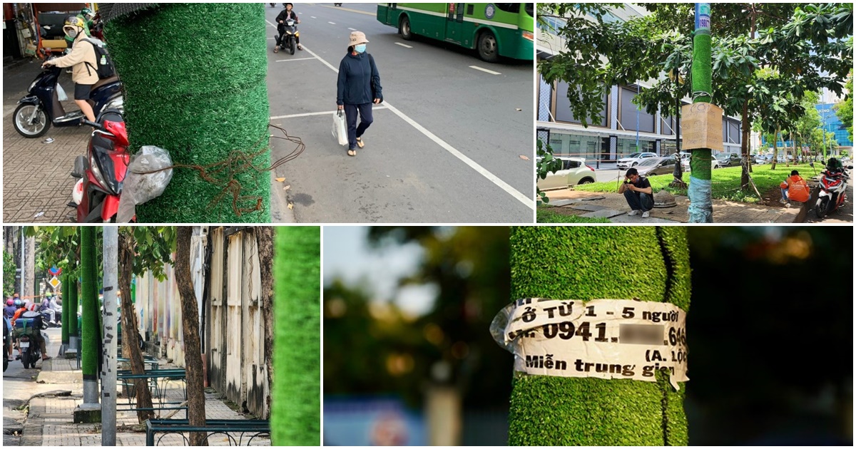 gan 1 800 tru dien cot den duoc mac ao giap o tp hcm quan 5 ly giai nguyen nhan 0 0