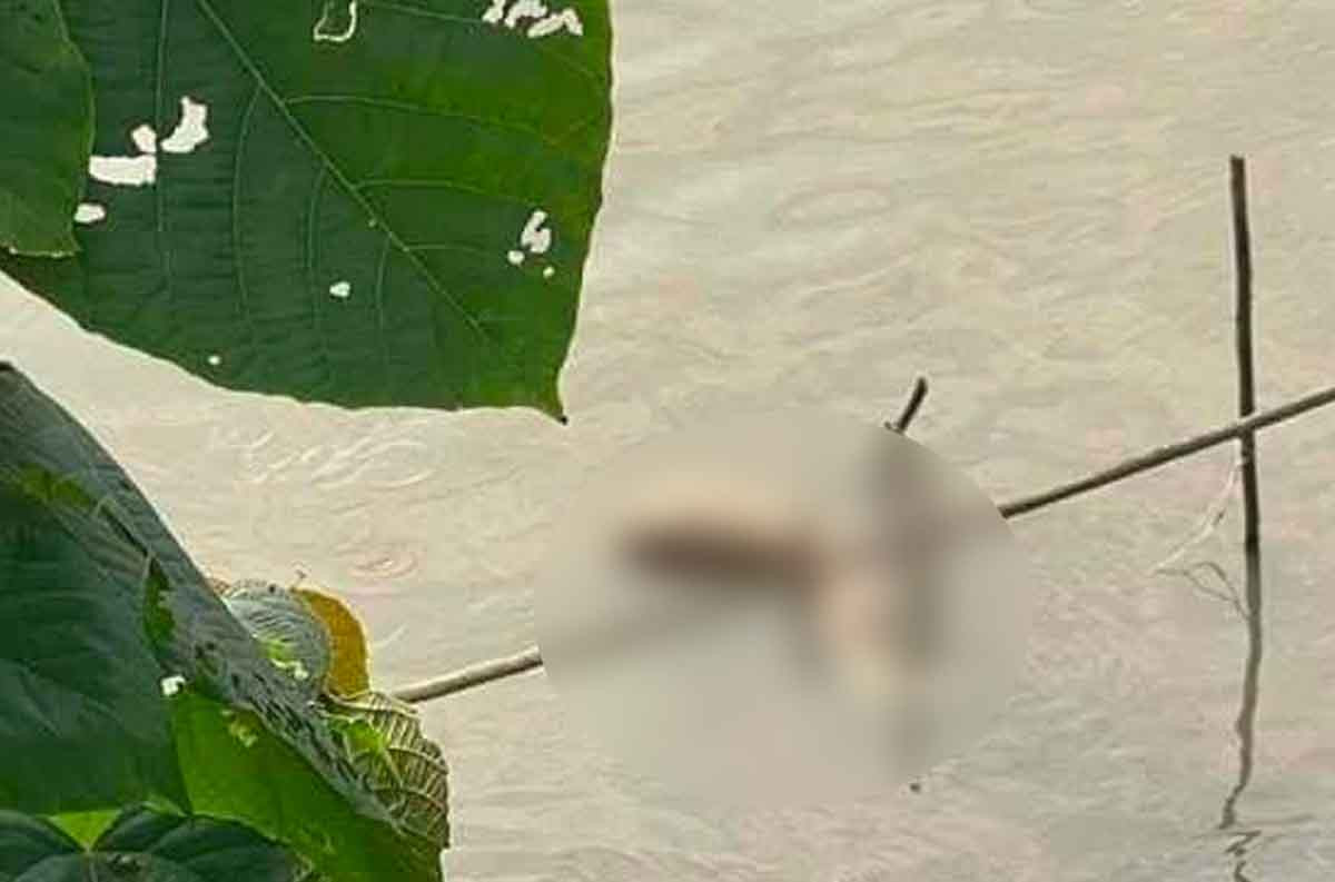 nhung tinh tiet nhoi long vu co gai tre bi sat hai phan xac o ha noi 2 nhung tinh tiet nhoi long vu co gai tre bi sat hai phan xac o ha noi 2