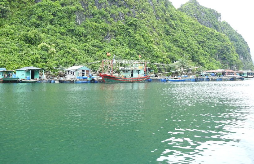 tin thoi su nong moi nhat ngay 28 10 2023 so giao thong ninh binh len tieng ve ben xe 35 ty dong chet yeu 2