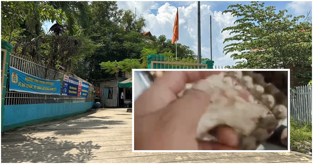 xuat hien clip to bep cung cap suat an ban tru o thu duc hieu truong truong tieu hoc co dong thai gi 0 xuat hien clip to bep cung cap suat an ban tru o thu duc hieu truong truong tieu hoc co dong thai gi 0