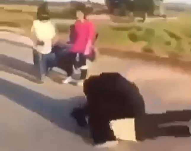 nguyen nhan vu nu sinh lop 10 bi danh hoi dong den bat tinh o nghe an 0 nguyen nhan vu nu sinh lop 10 bi danh hoi dong den bat tinh o nghe an 0