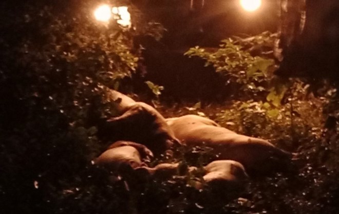 tin thoi su nong moi nhat ngay 8 11 2023 phat nang nhom nguoi dua xe tang dieu pho di bo nguyen hue 3 tin thoi su nong moi nhat ngay 8 11 2023 phat nang nhom nguoi dua xe tang dieu pho di bo nguyen hue 3