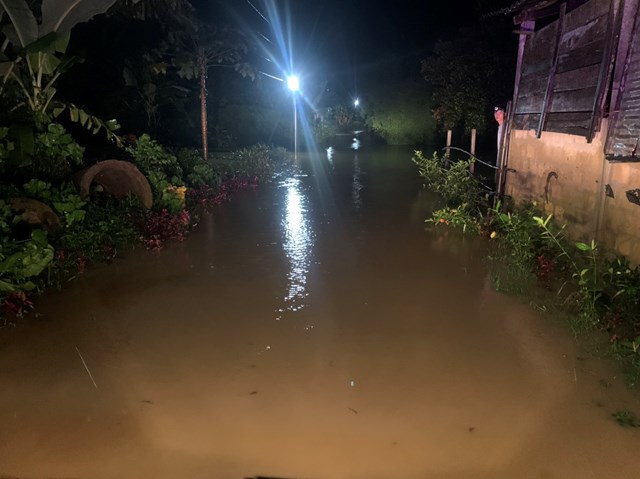 mua nhu trut nuoc xuong quang tri 800 ho dan bi ngap lut dan bo hon 50 con bi cuon troi ra song 3