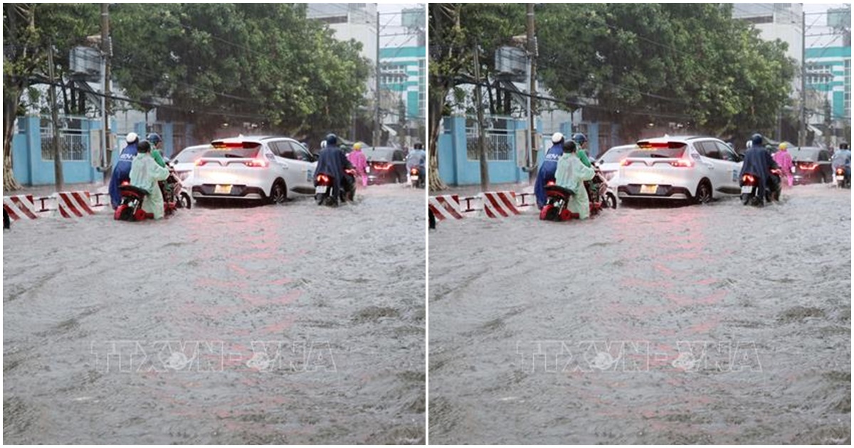 mua nhu trut nuoc nhieu noi bi ngap cuc bo ninh thuan cho cho sinh nghi hoc l mua nhu trut nuoc nhieu noi bi ngap cuc bo ninh thuan cho cho sinh nghi hoc l