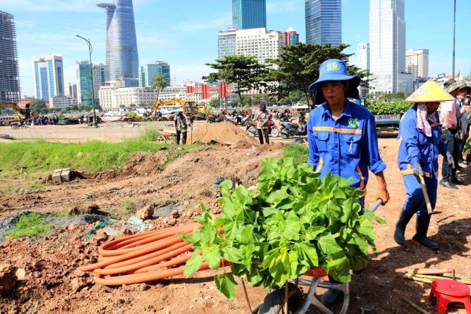 tin thoi su nong moi nhat ngay 29 11 2023 trong 35 000 cay hoa huong duong doc bo song sai gon tin thoi su nong moi nhat ngay 29 11 2023 trong 35 000 cay hoa huong duong doc bo song sai gon