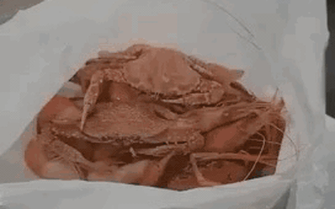 ha noi di an buffet doi nam nu len dut tui 4kg hai san mang ve hinh anh camera ghi gi p