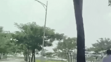 vu nu sinh lop 8 bi danh hoi dong lot do o long an phong gd dt bao cao gi 0