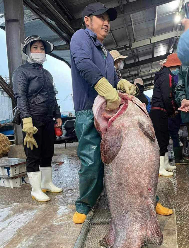 tin thoi su nong moi nhat ngay 22 12 2023 ngu dan nghe an bat duoc ca mu khung gan 70kg 1