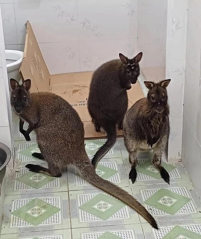 tin thoi su nong moi nhat ngay 23 12 2023 tp hcm thu duoc gan 4 000 ty dong phi cang bien 2 tin thoi su nong moi nhat ngay 23 12 2023 tp hcm thu duoc gan 4 000 ty dong phi cang bien 2