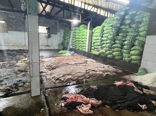 tin thoi su nong moi nhat ngay 26 12 2023 phat hien 4 tan da bo dang phan huy chuan bi tung ra thi truong tin thoi su nong moi nhat ngay 26 12 2023 phat hien 4 tan da bo dang phan huy chuan bi tung ra thi truong